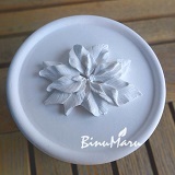 ��ǰ ������