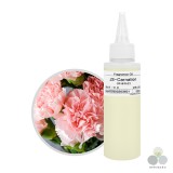 ��ǰ ������