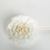 ��ǰ ������