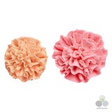 ��ǰ ������