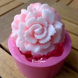 ��ǰ ������