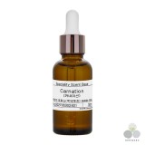 ��ǰ ������