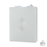 ��ǰ ������