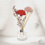 ��ǰ ������