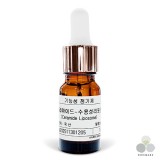 ��ǰ ������