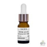 ��ǰ ������