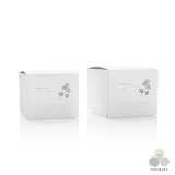 ��ǰ ������