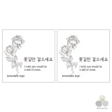 ��ǰ ������