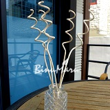 ��ǰ ������