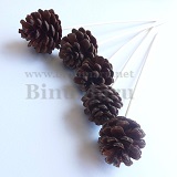 ��ǰ ������