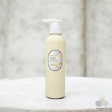 ��ǰ ������