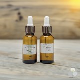 ��ǰ ������